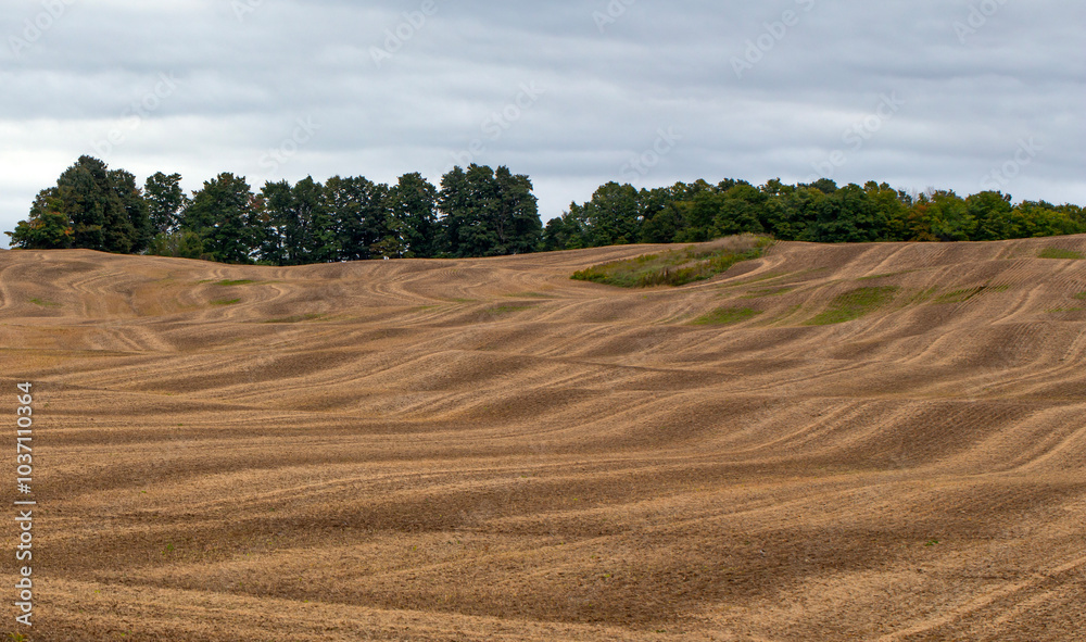Obraz premium Stripes on soil of the agricultural field after the field was plowed by plows.