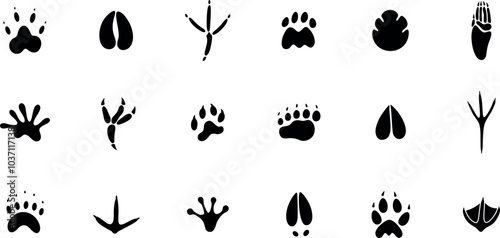 Paw print silhouette. Isolated paw print on white background