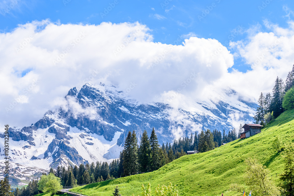 Naklejka premium Beautiful landscape of valley in Alpine mountains, small trail, hike root, majestic picturesque view in sunny day