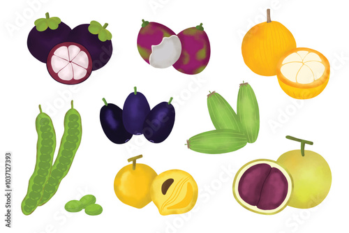 Colorful Tropical Fruits Illustration Collection