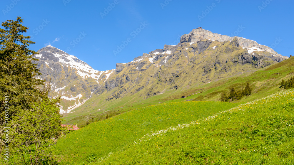 Obraz premium Beautiful landscape of valley in Alpine mountains, small trail, hike root, majestic picturesque view in sunny day