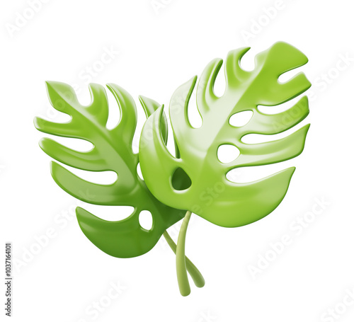 Fototapeta Naklejka Na Ścianę i Meble -  Tropical green monstera leaves 3d render png icon. Exotic plant branches, evergreen liana foliage or philodendron isolated on transparent background. Summer decorative design element. 3D illustration