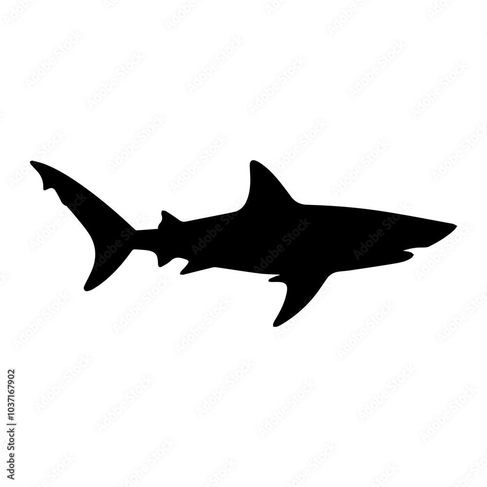 Shark vector silhouette illustration isolated on white background Shark vector silhouette illustration isolated on white background