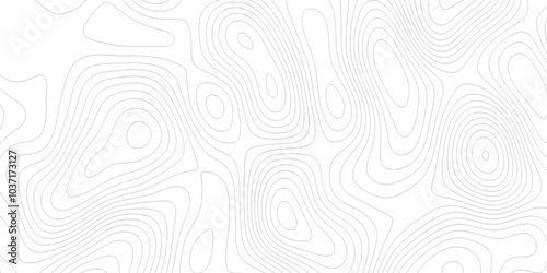 Topographic map in contour line light topographic topo contour map. Lines Topographic contour lines map seamless pattern. Geographic mountain relief. Background of the topographic map. Contour maps.