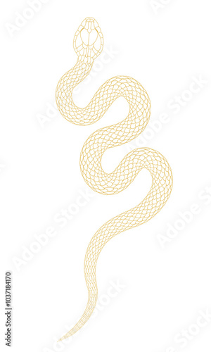 A simple cartoon snake illustration