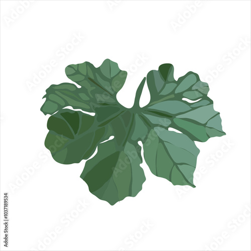 A green leaf vector illustration. 