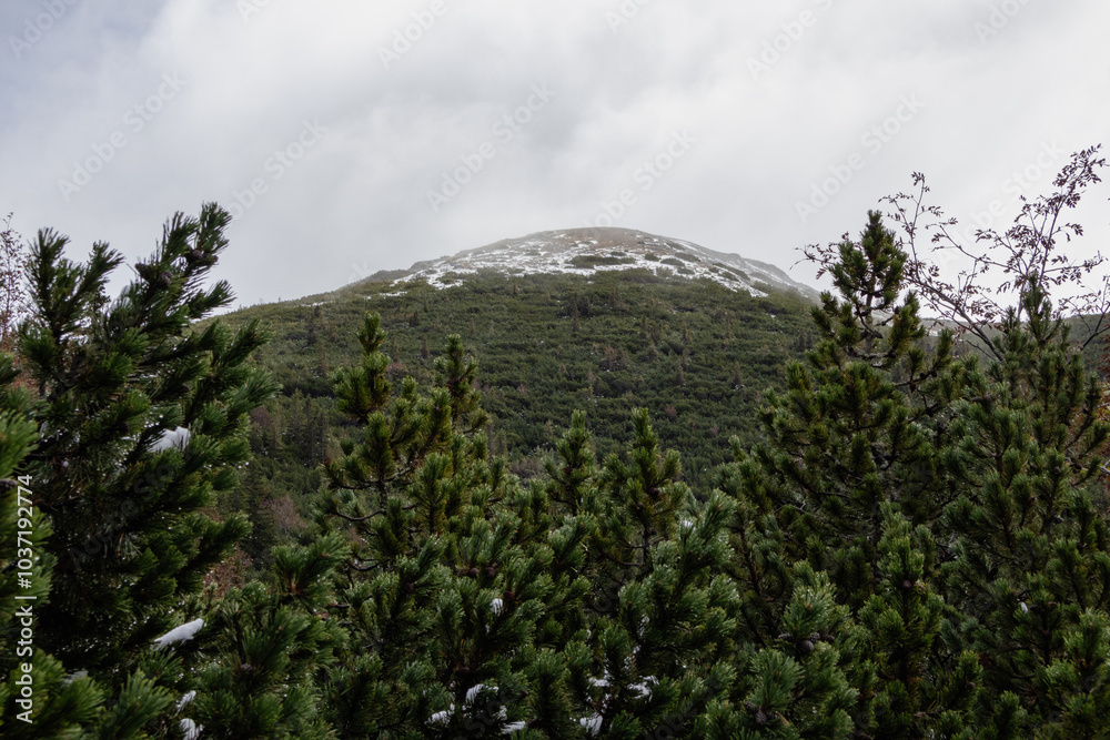 A photo of a mountain covered in snow A photo of a mountain covered in snow