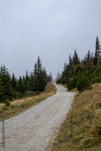 A photo of a gravel road