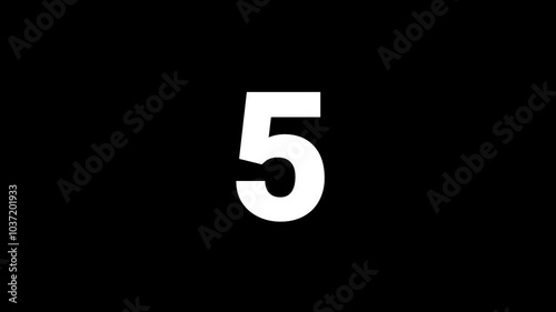 10 Second Countdown Timer with Large White Numbers on Black Background