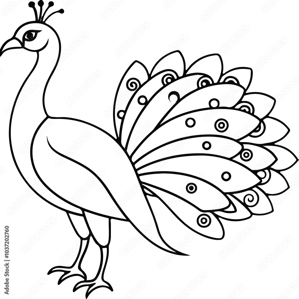 Fototapeta premium peacock illustration