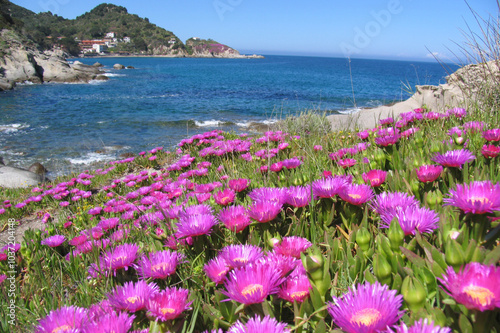 isola d'Elba