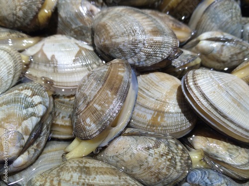 Flower armor sold in supermarkets