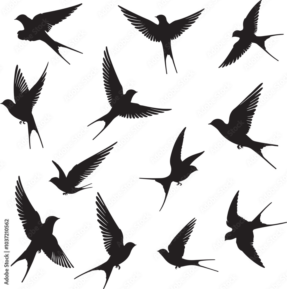 set of of swallows in different poses silhouette design vector art illustration isolated background set of of swallows in different poses silhouette design vector art illustration isolated background