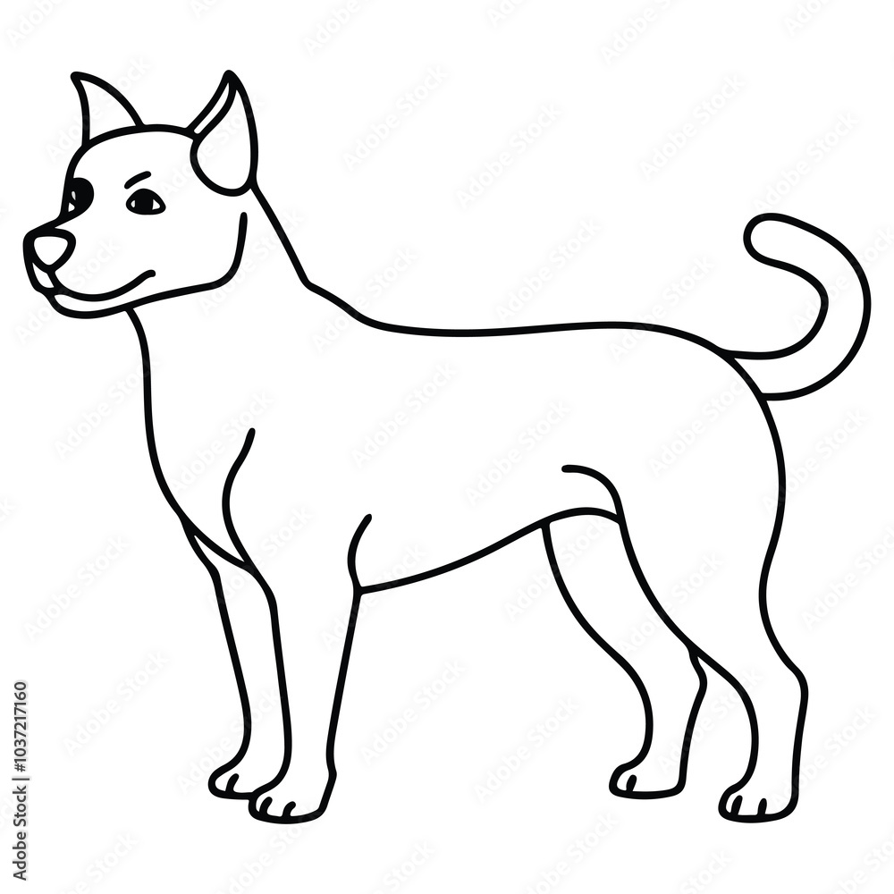 black and white dog black and white dog