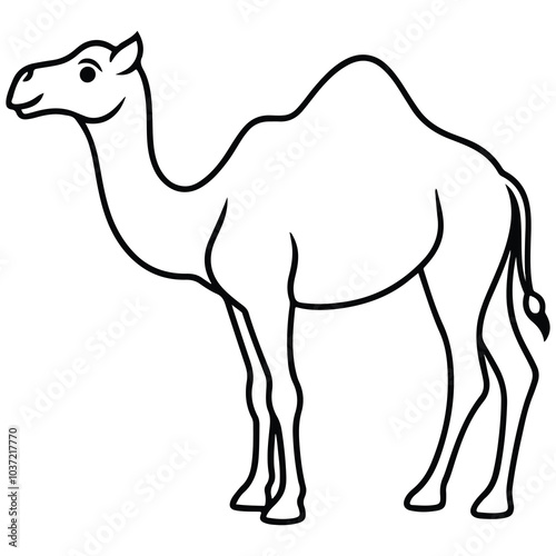 camel cartoon illustration