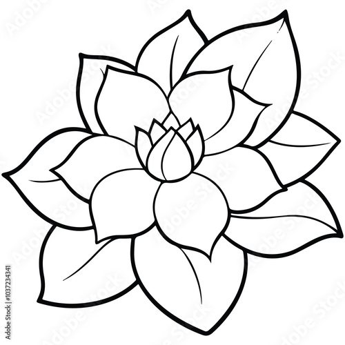 black and white flower