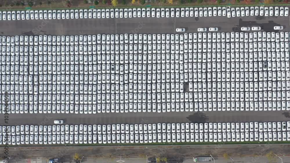 ASAN, SOUTH KOREA - OCTOBER 16, 2024: Observation of a vast parking lot filled with numerous white vehicles arranged in rows ASAN, SOUTH KOREA - OCTOBER 16, 2024: Observation of a vast parking lot filled with numerous white vehicles arranged in rows