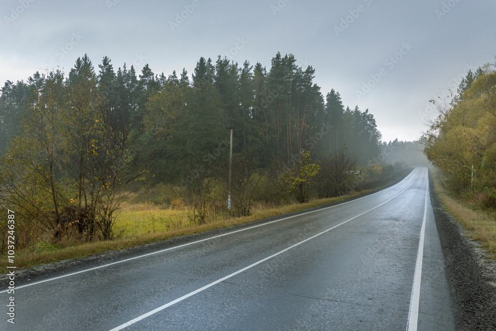 Naklejka premium A wet road with trees in the background