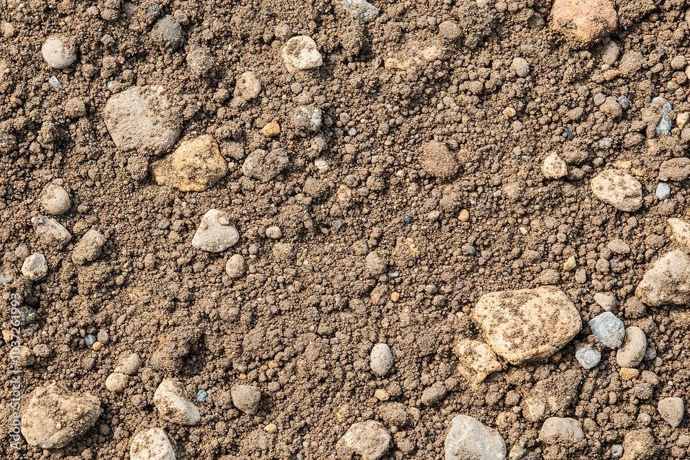 Close-up of soil background, top view, high-resolution photography Close-up of soil background, top view, high-resolution photography