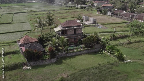 Casa con piscina entre campos de arroz en la selva de Bali. photo