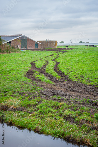 Muddy path in soggy grassland leads to a farm in polder Zuidplas, western Netherlands. In the near future the village of Cortelande, previously known as the fifth village, will be built here. photo