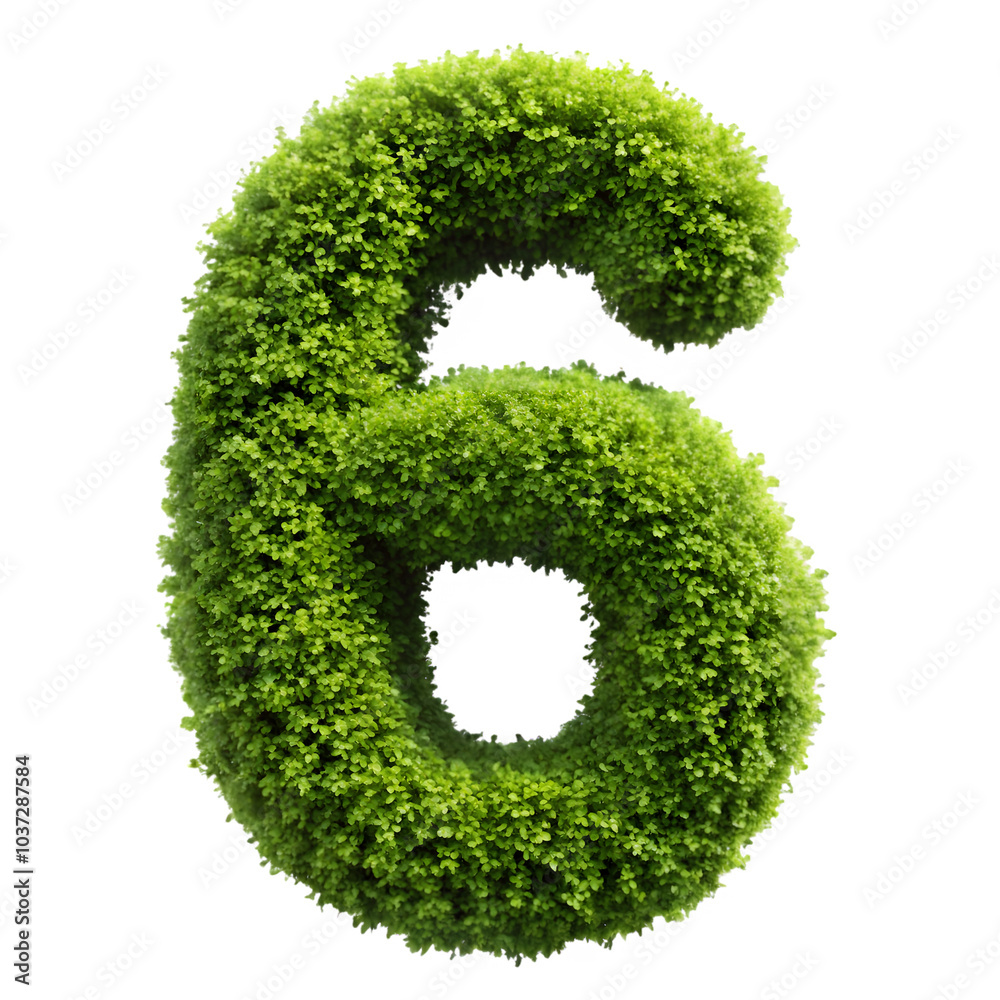 Shrubs trimmed into number 6 isolated on a transparent background. Shrubs trimmed into number 6 isolated on a transparent background.
