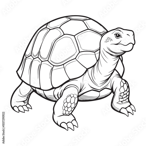 Silhouette vector style giant-tortoise with white background