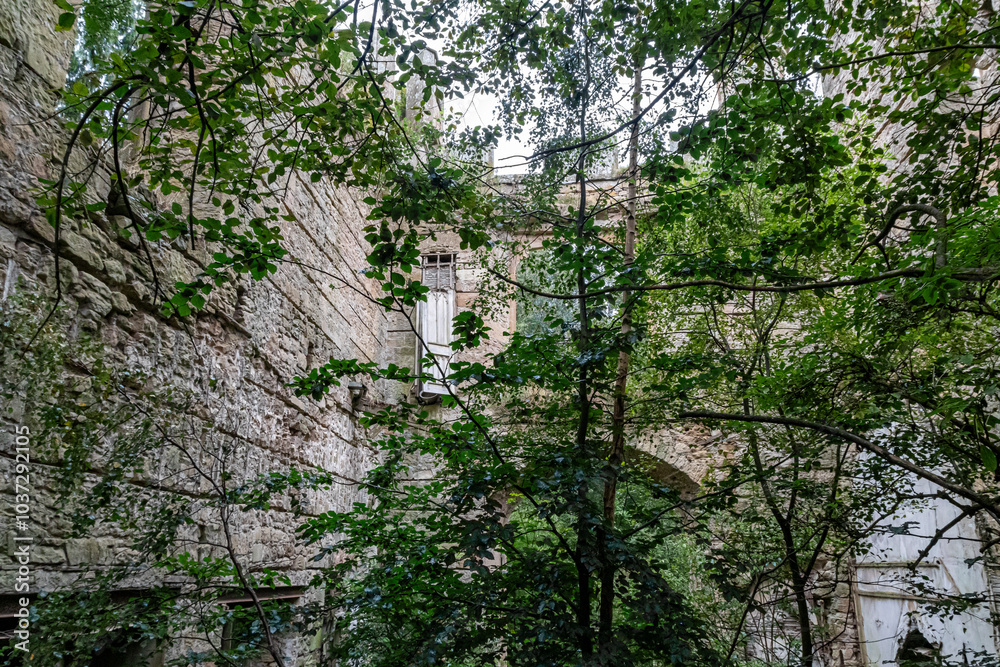 Fototapeta premium Ruins of Crawford Priory Scotland