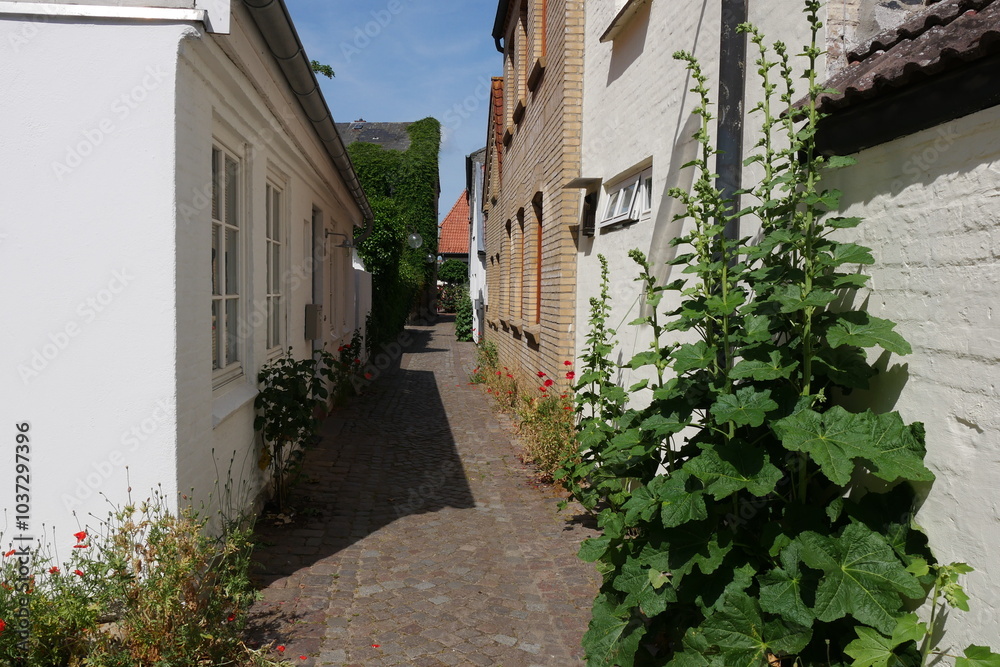 Gasse in Eckernförde mit Malven