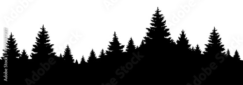 PAYSAGE AVEC SILHOUETTES DE SAPINS