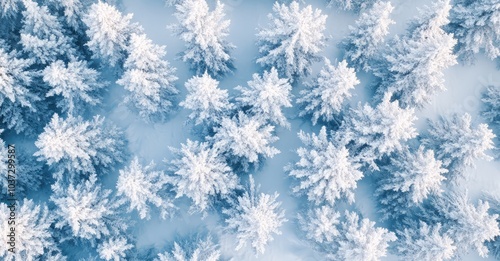 Drone Photo of Snow-Covered Evergreen Trees After Winter Blizzard. AI generated illustration.