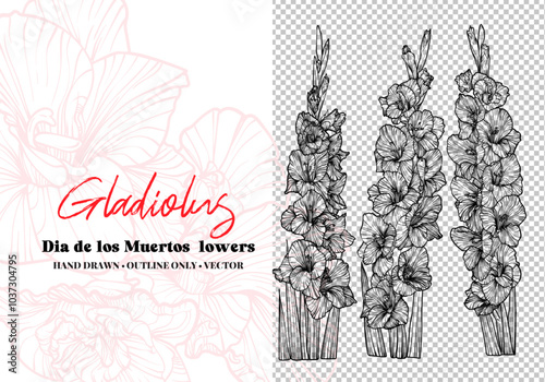 Hand drawn vector outline Dia de los Muertos flowers. Line art gladiolus with leaves, blooms bouquet. Illustration for print and online projects. 