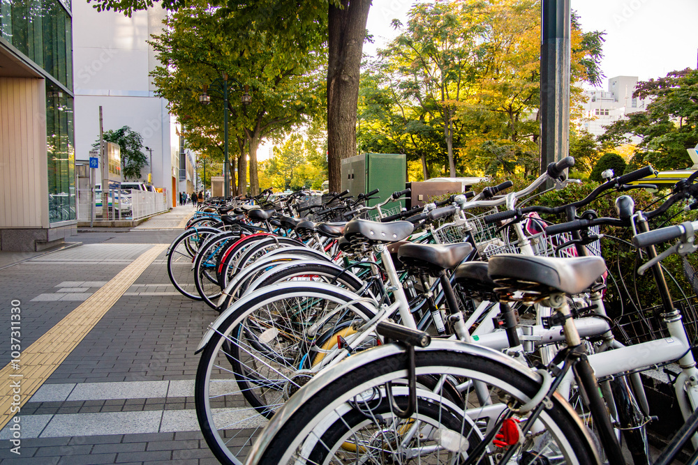 Fototapeta premium 歩道に並ぶ自転車 北海道札幌市