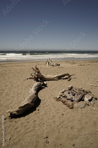 BIG SUR photo