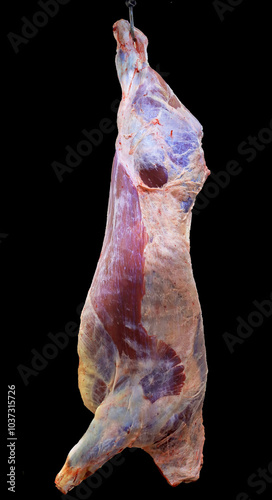 Beef carcass