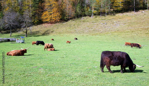 The Logar Valley is a valley in the Kamnik Alps, in the Municipality of Solčava, Slovenia.  photo