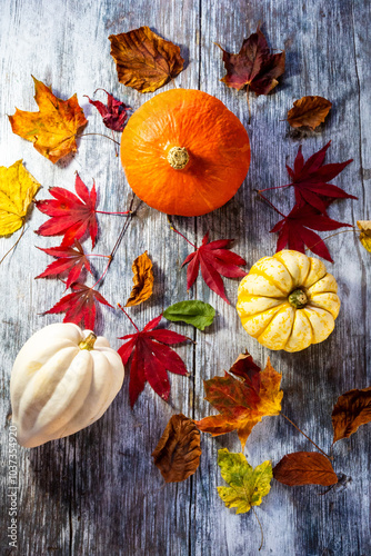 Autumn squashes and pumpkins close up from above in a flay lay with autumn leaves