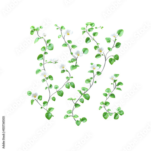 White Flowers and Green Leaves on White Background