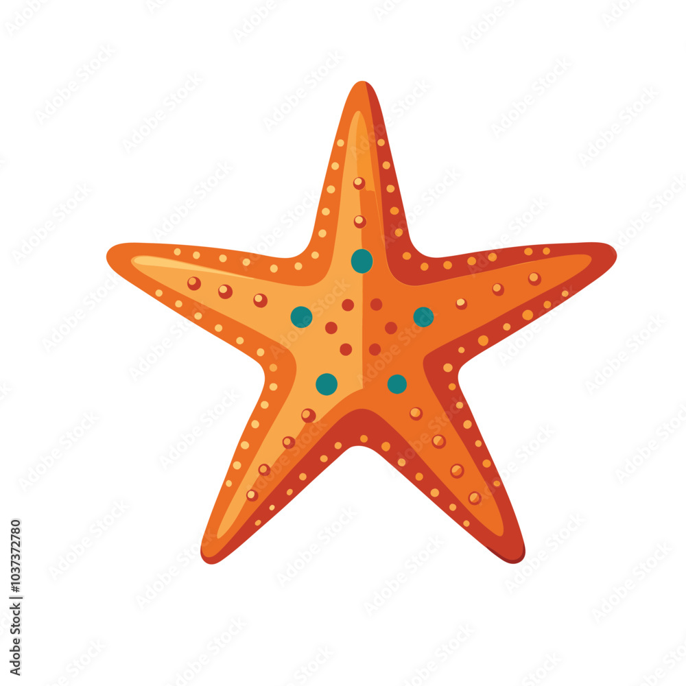 red starfish isolated on white red starfish isolated on white