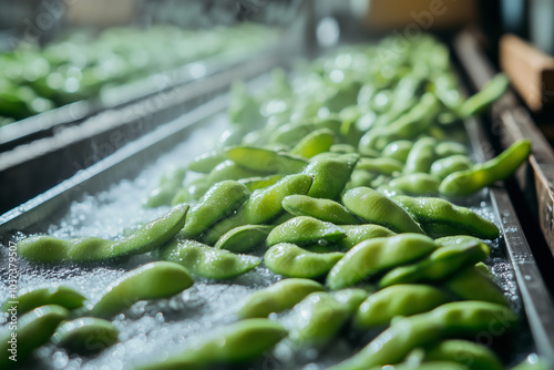 Selective focus wash edamame with water pressure on conveyor belt in industry plant, Close up shot edamame cleaning process in factory.