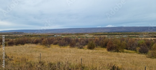 Autumn colors on the Iceland countryside, eastern Iceland