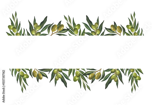 Green olive branches border Watercolor floral frame for olive oil wrapping paper logo design Postcard poster template invitation greeting card decoration Botanical banner Italian plant Natural