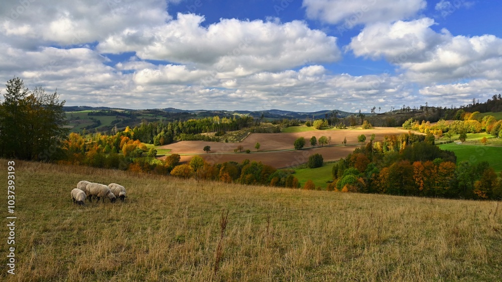 Fototapeta premium Beautiful autumn landscape with colorful nature in the Czech Republic in autumn time.
