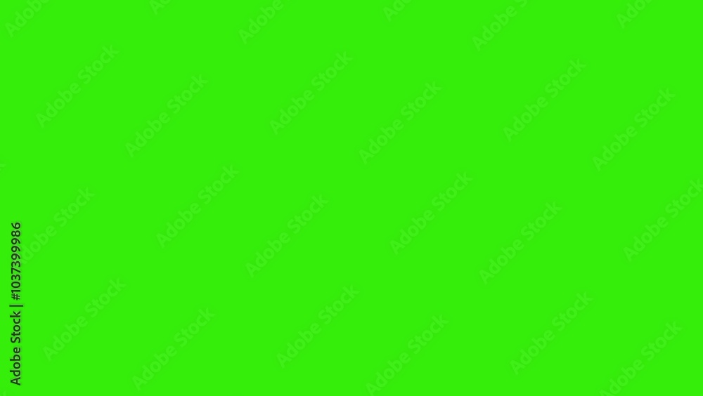 Fireworks, Sparkles Animation Video on Green Background. 4K animation of Circle Burst Motion Graphics in After Effects pop up, line, shiny, blast. Fireworks, Sparkles Animation Video on Green Background. 4K animation of Circle Burst Motion Graphics in After Effects pop up, line, shiny, blast.