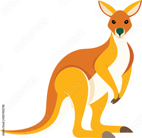 kangaroo vector