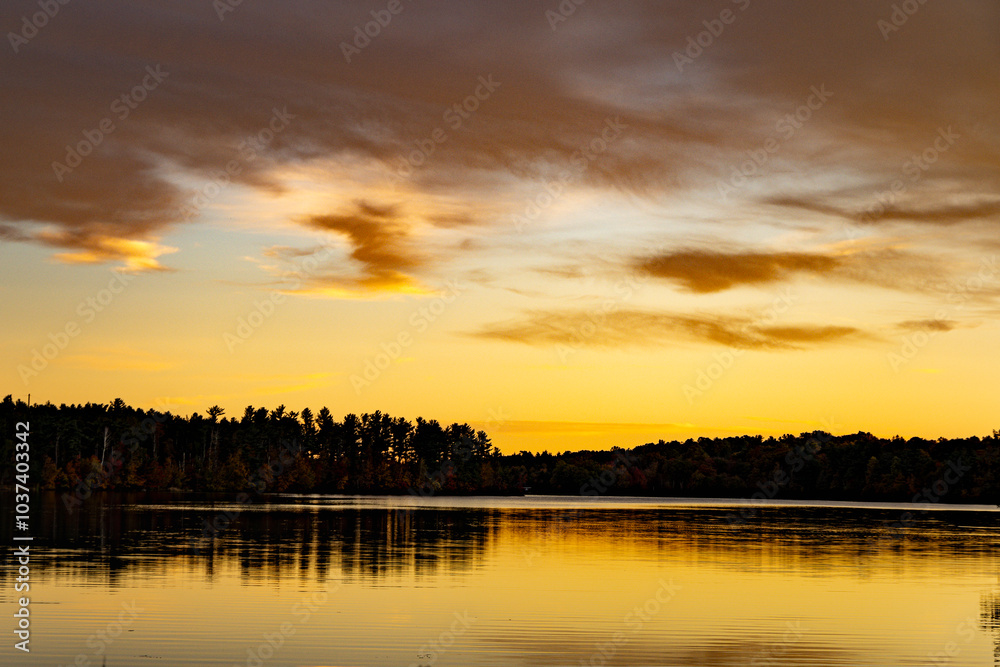 golden tranquility golden tranquility