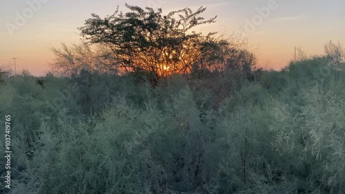 Sunset over the field And Sunset on the three