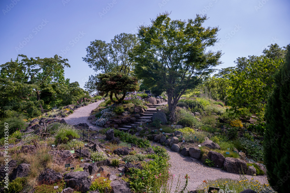 Fototapeta premium Copenhagen Botanical Garden In Denmark