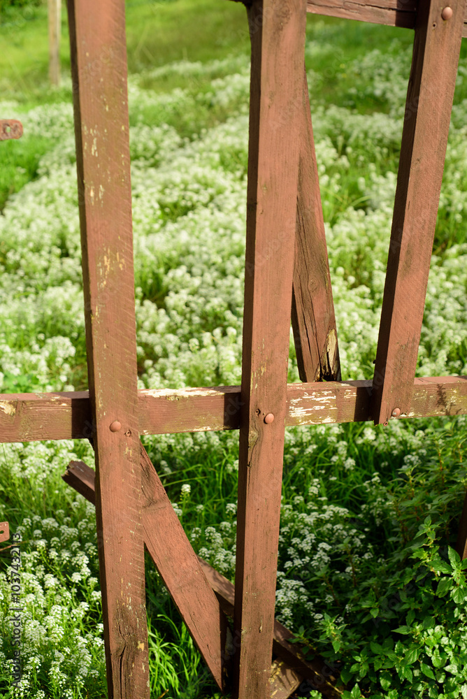 Arbustos de flores silvestres tras valla de piquetes de madera Arbustos de flores silvestres tras valla de piquetes de madera
