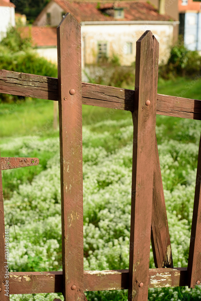 Arbustos de flores silvestres tras valla de piquetes de madera Arbustos de flores silvestres tras valla de piquetes de madera